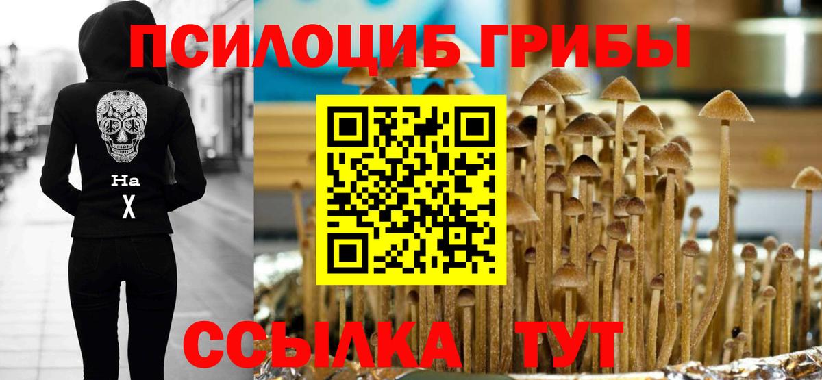 Галлюциногенные грибы Magic Shrooms Черногорск